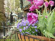 140 - Bryant park